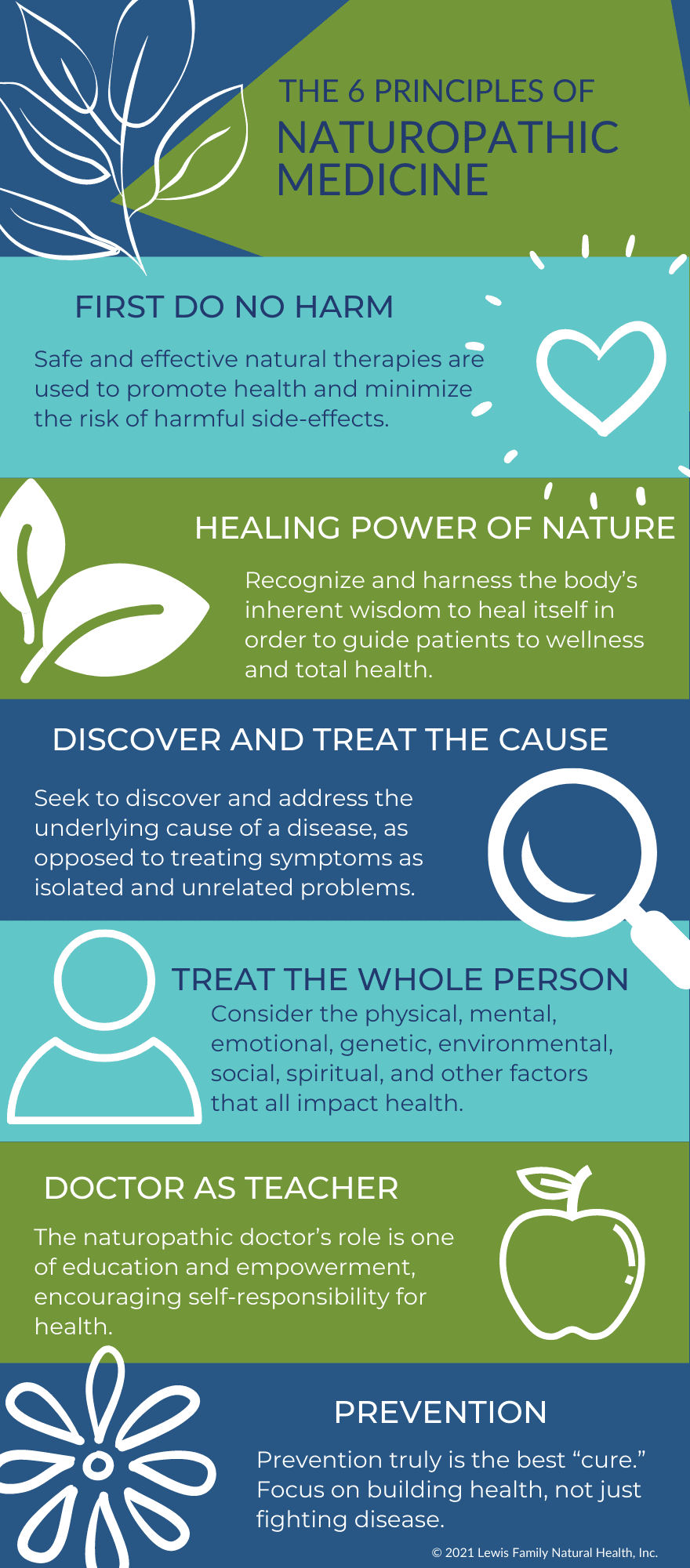 What is Naturopathic Medicine? | Lewis Family Natural Health